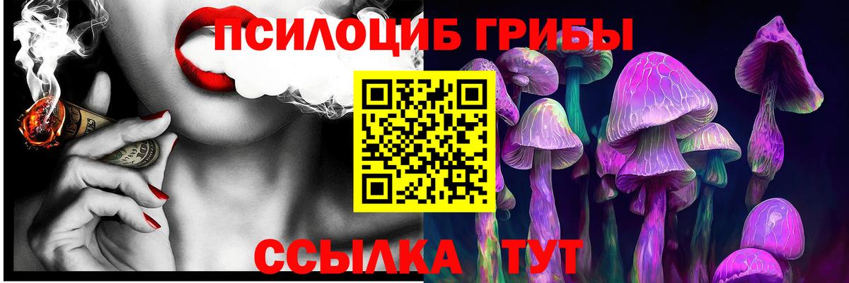 Псилоцибиновые грибы Psilocybe  Вход с VPN  Хабаровск 